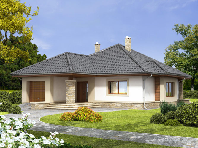 Imbir PS - odbicie lustrzane