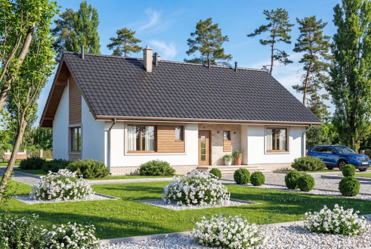 Mokka - strop drewniany