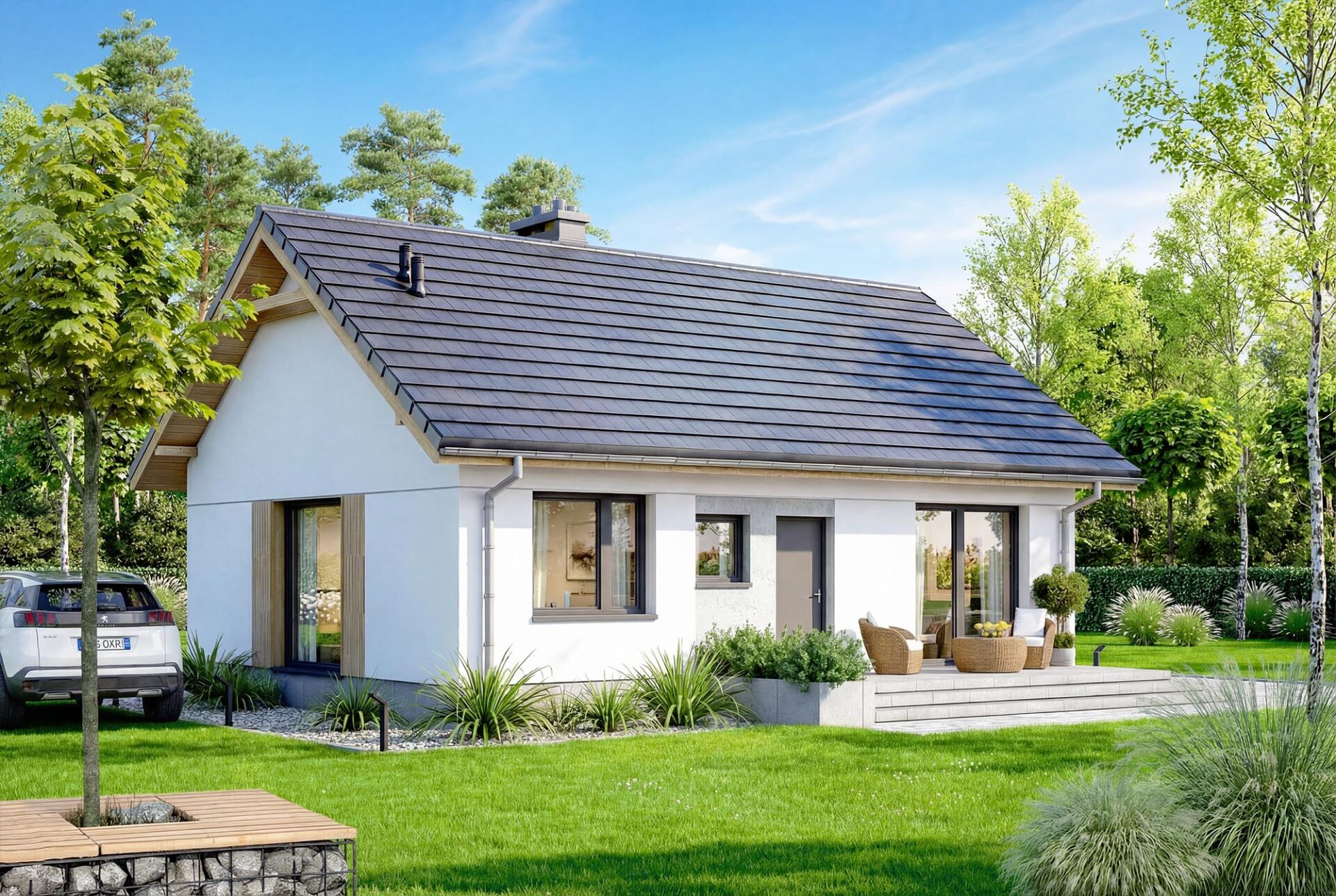 Nektarynka - obrazek 4